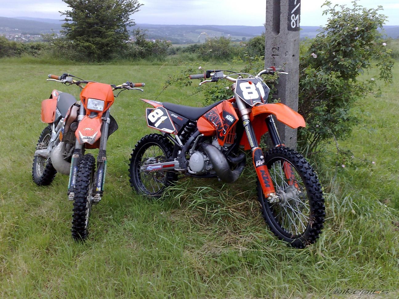 Bike Photo 1323790