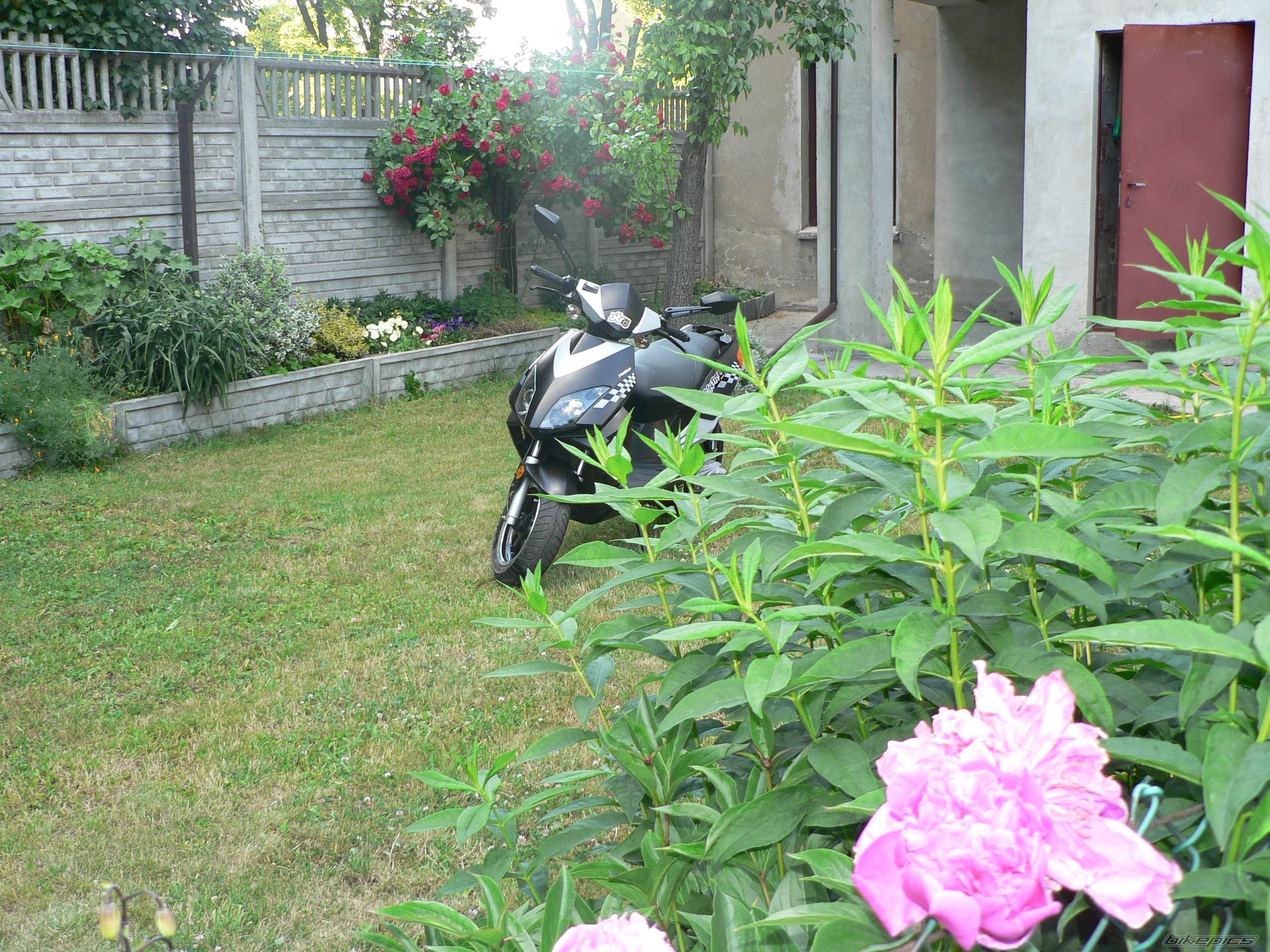 Photo 1323830