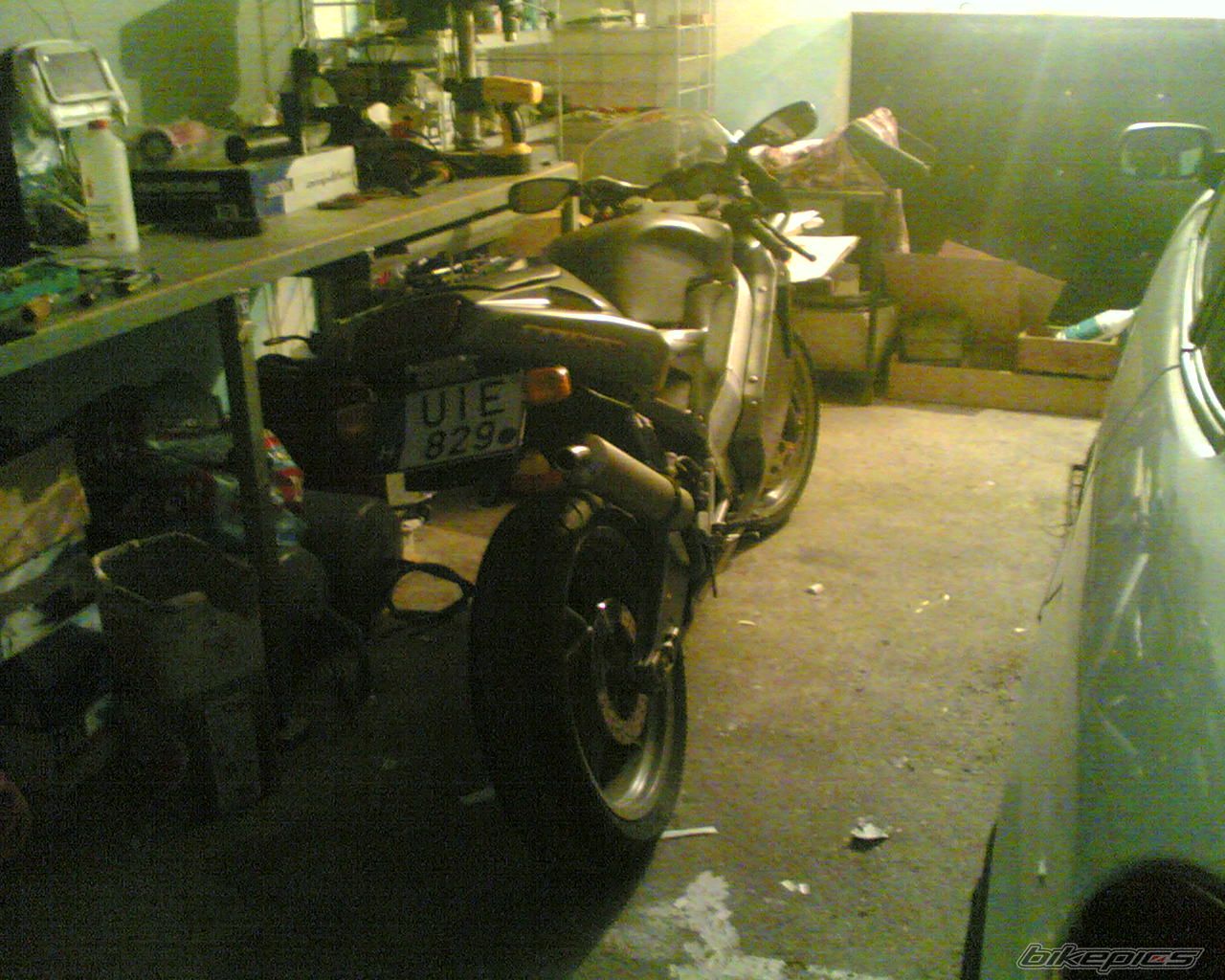 Photo 1323859