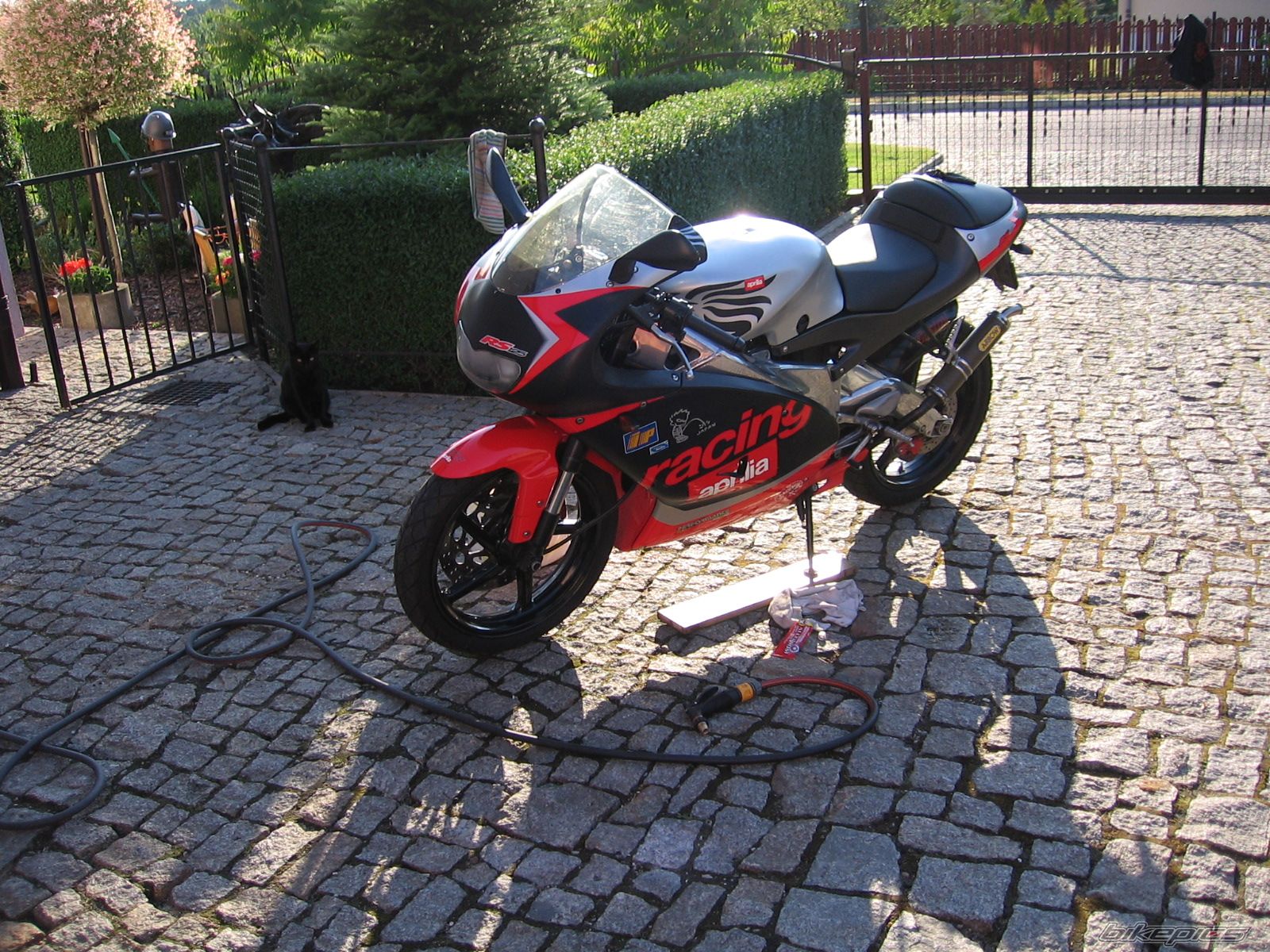 Photo 1323905