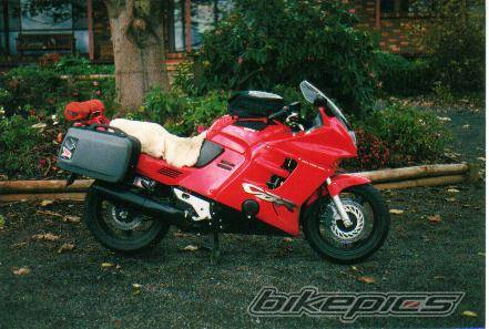 Photo 132391