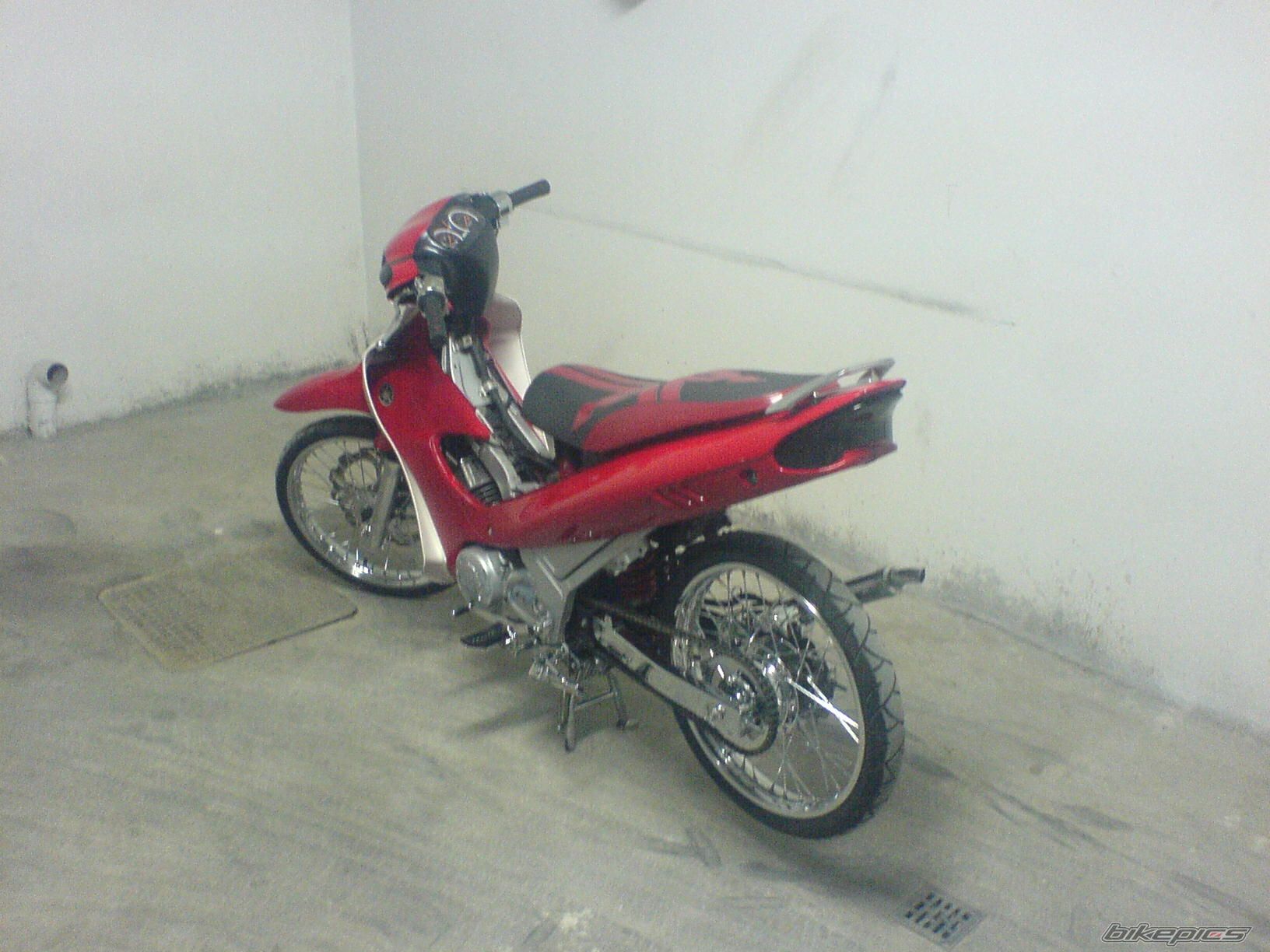 Photo 1323977