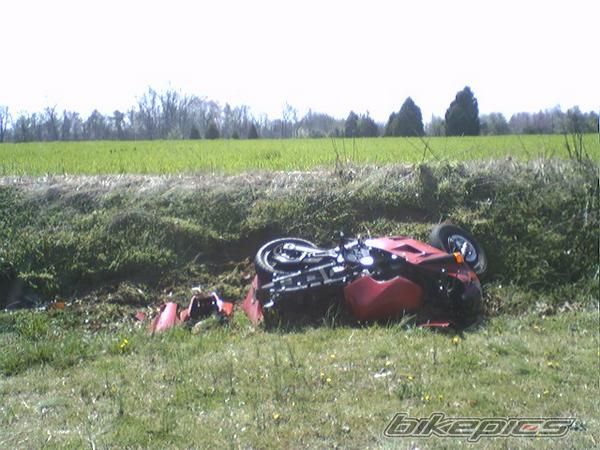 Photo 1324075