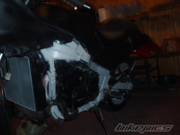 Photo 1324076