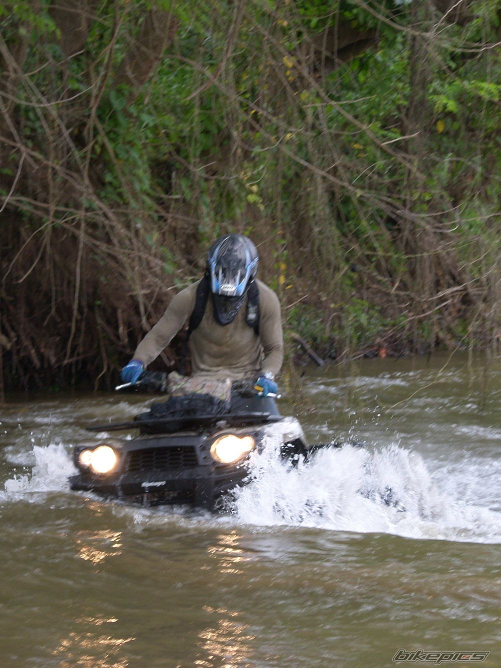 Photo 1324141