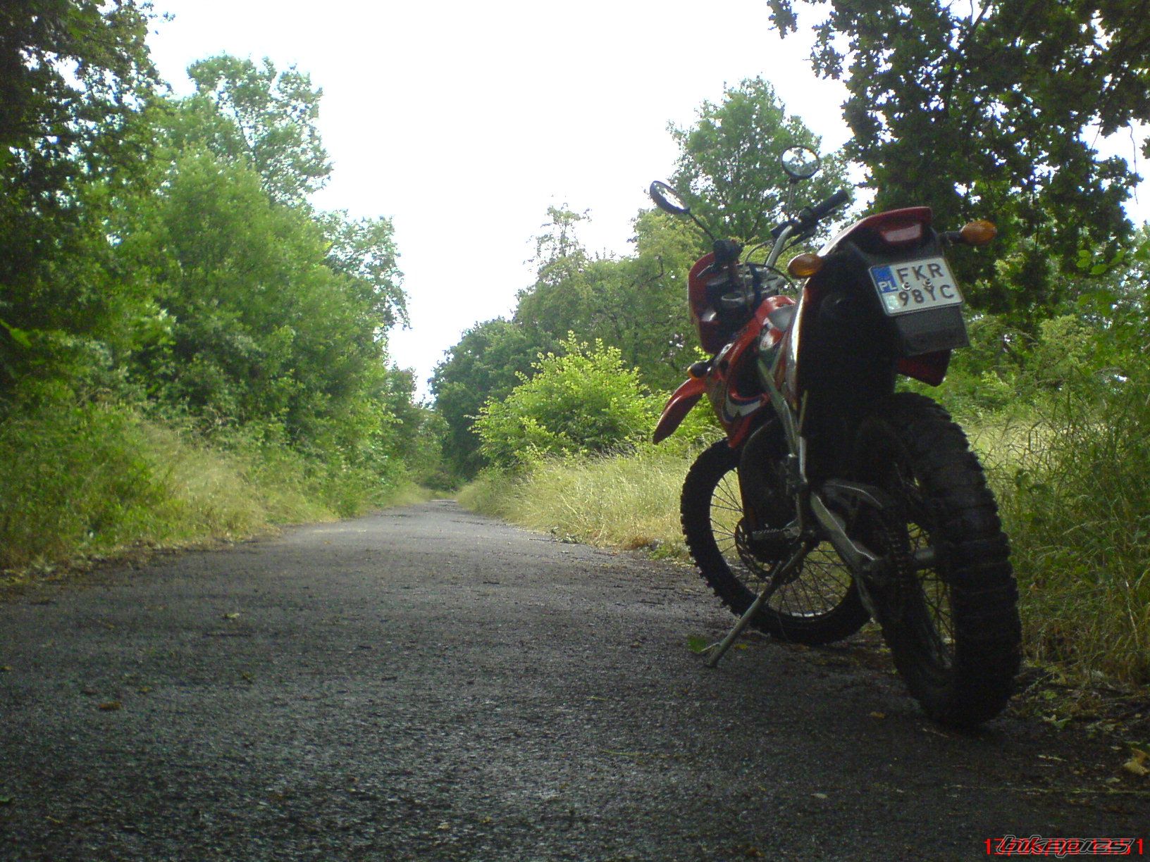 Photo 1324282
