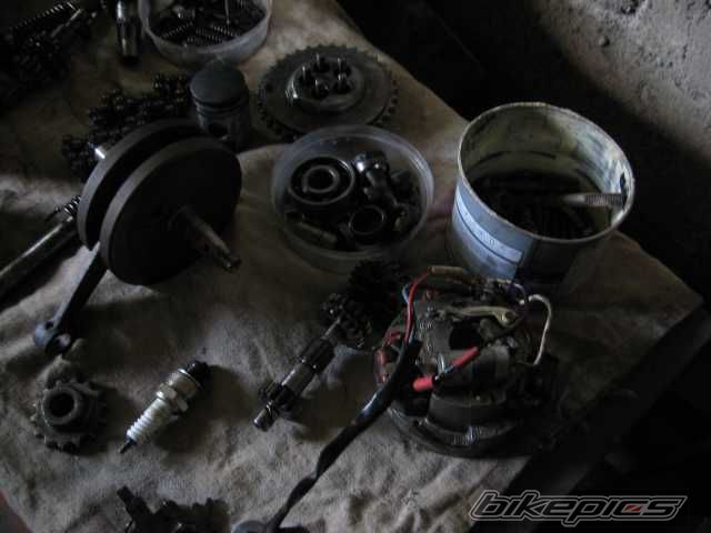 Photo 1324285