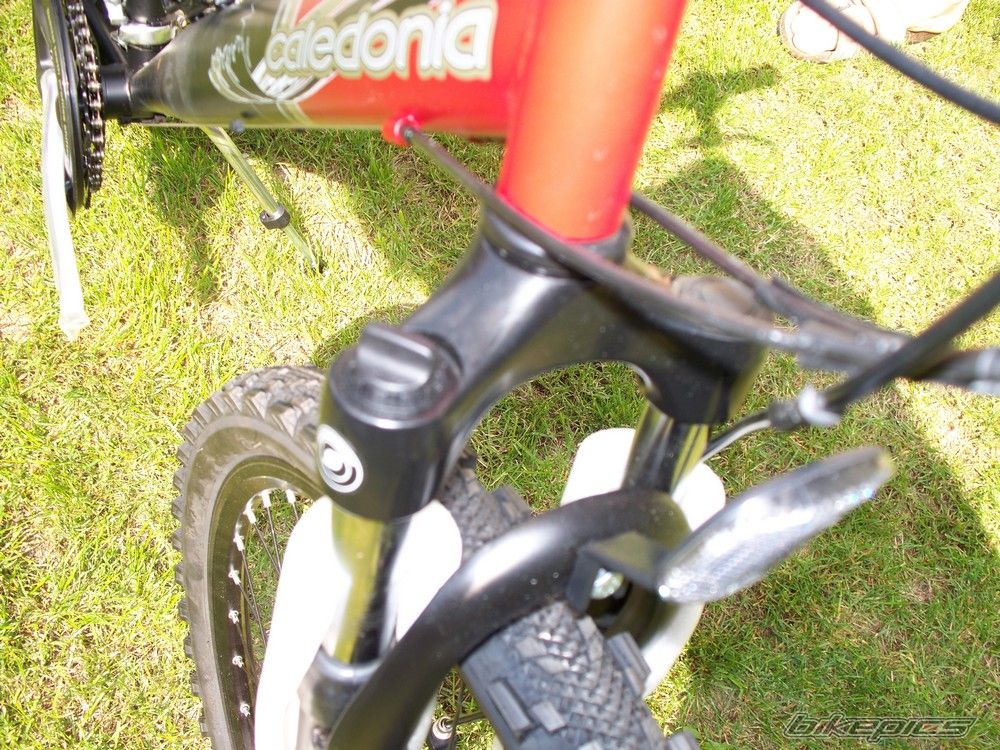 Photo 1324320