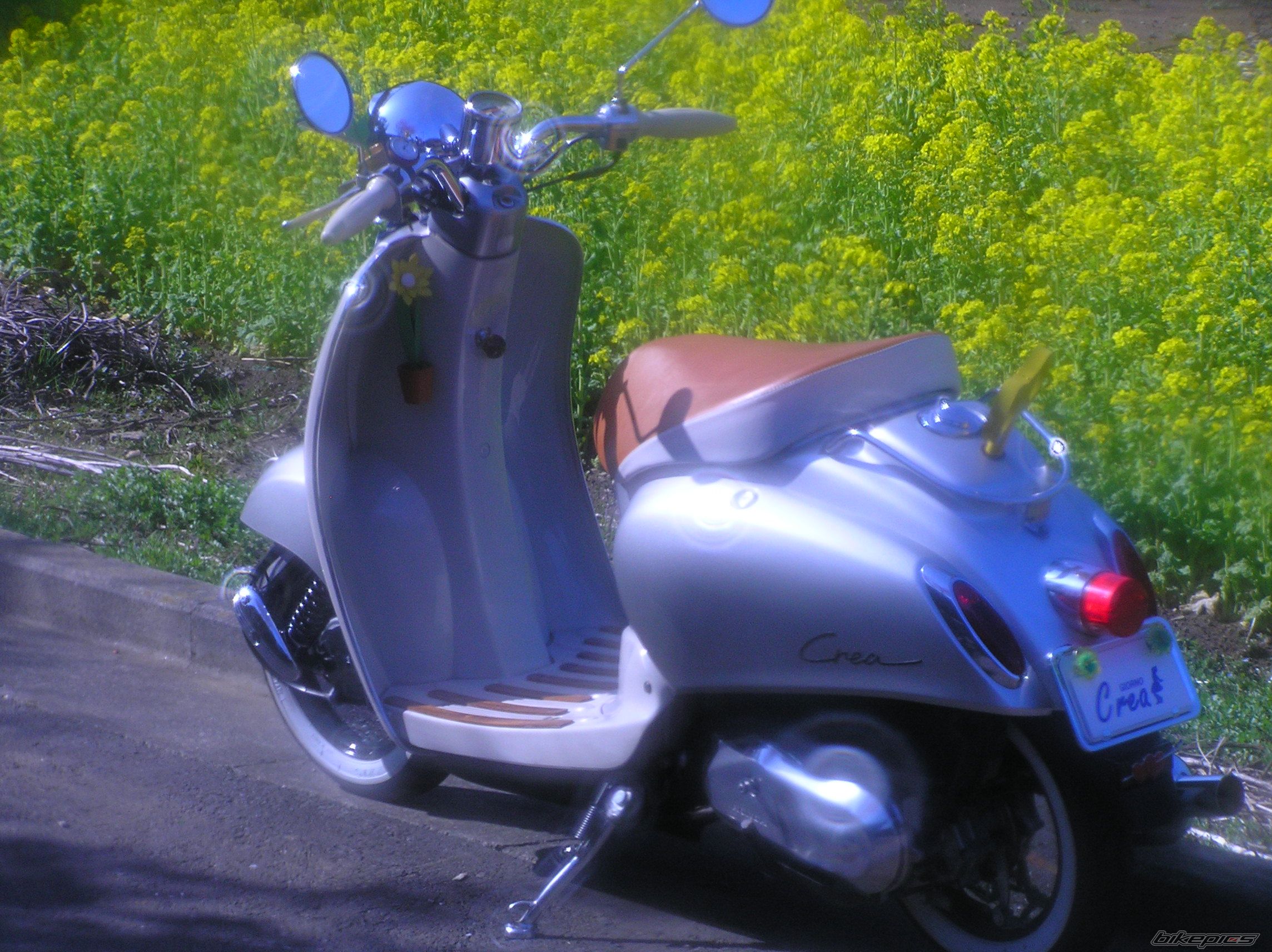 Photo 1324360