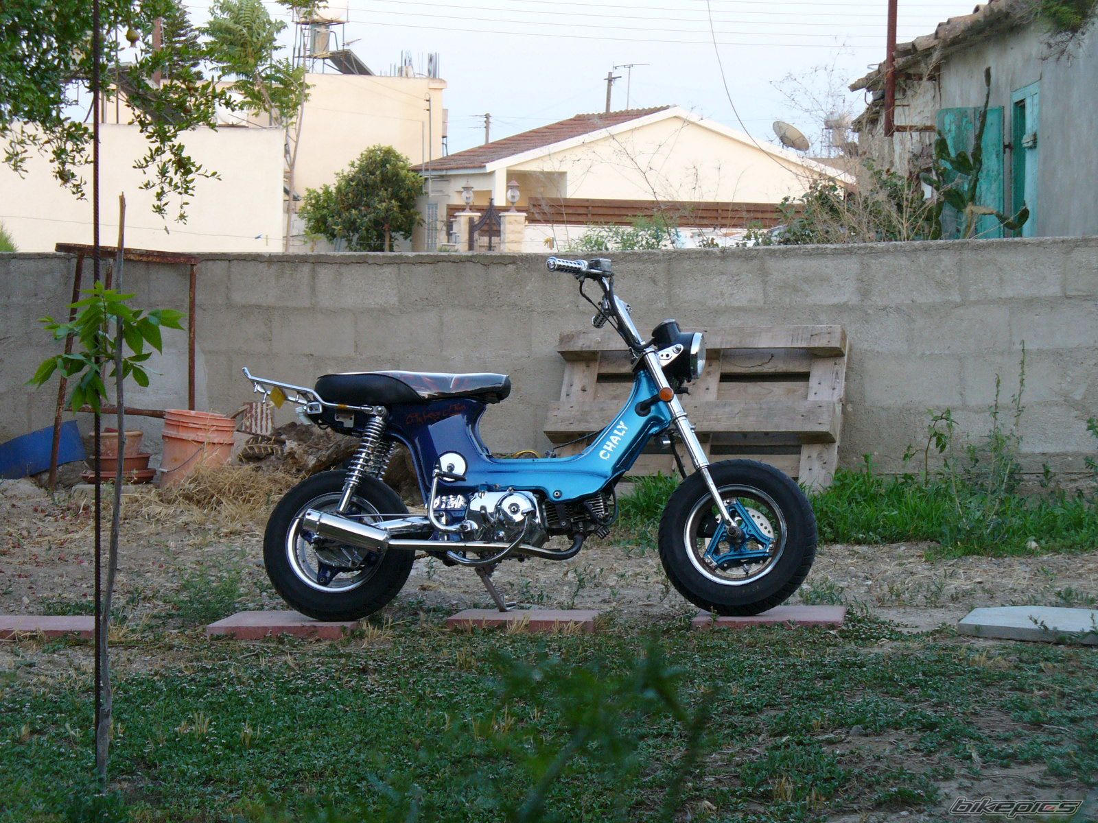 Photo 1324411