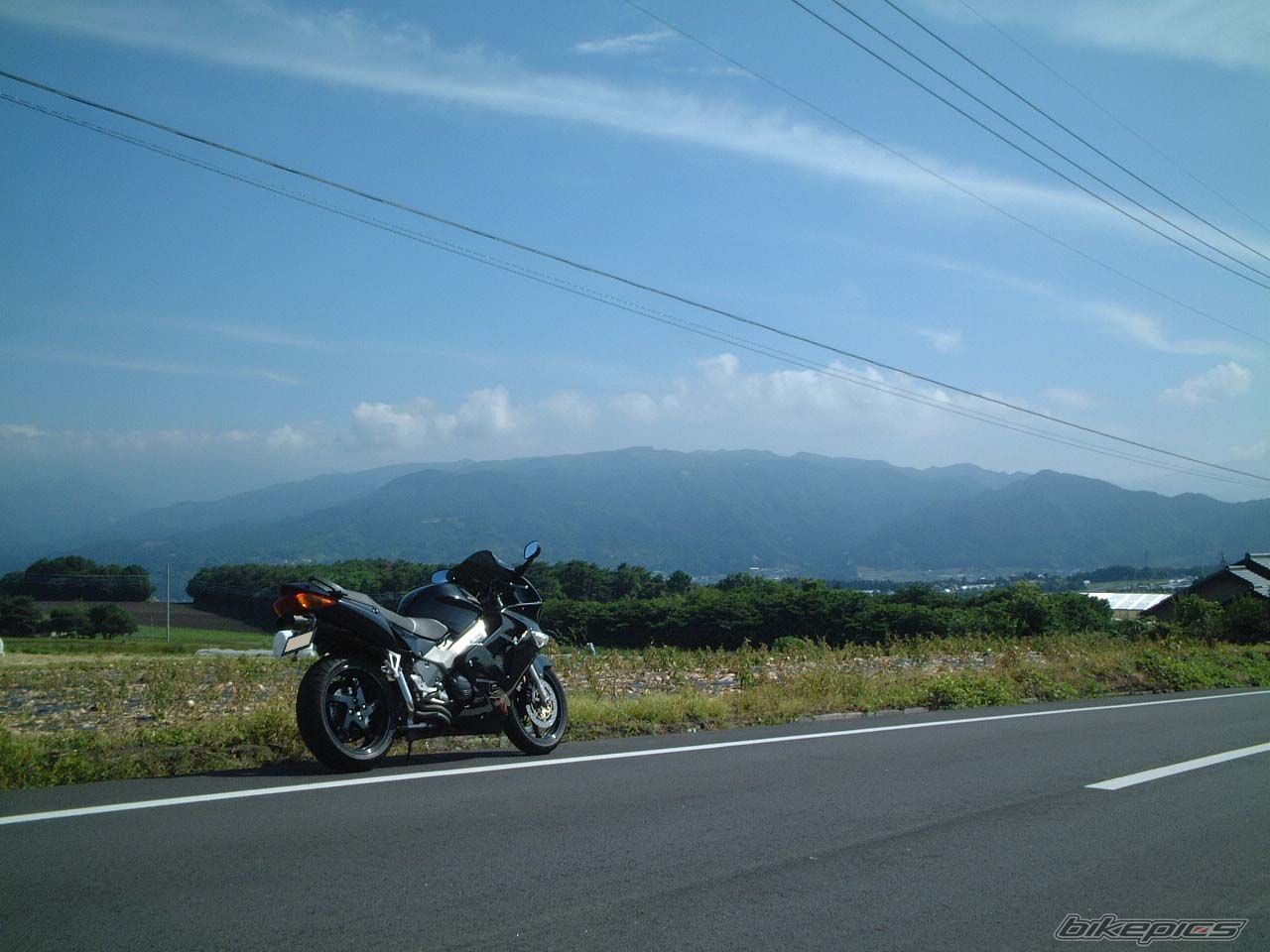 Photo 1324435