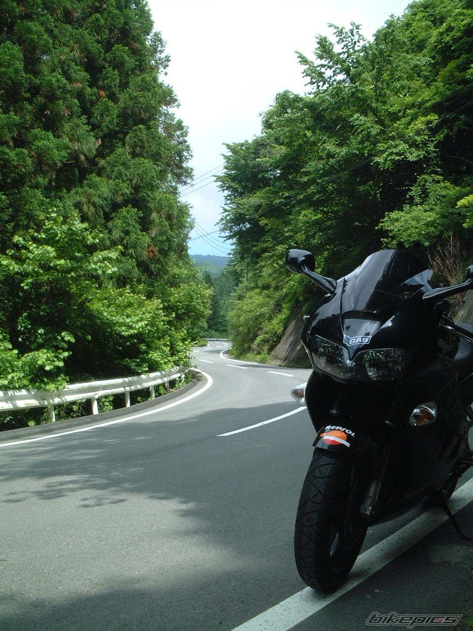 Photo 1324439