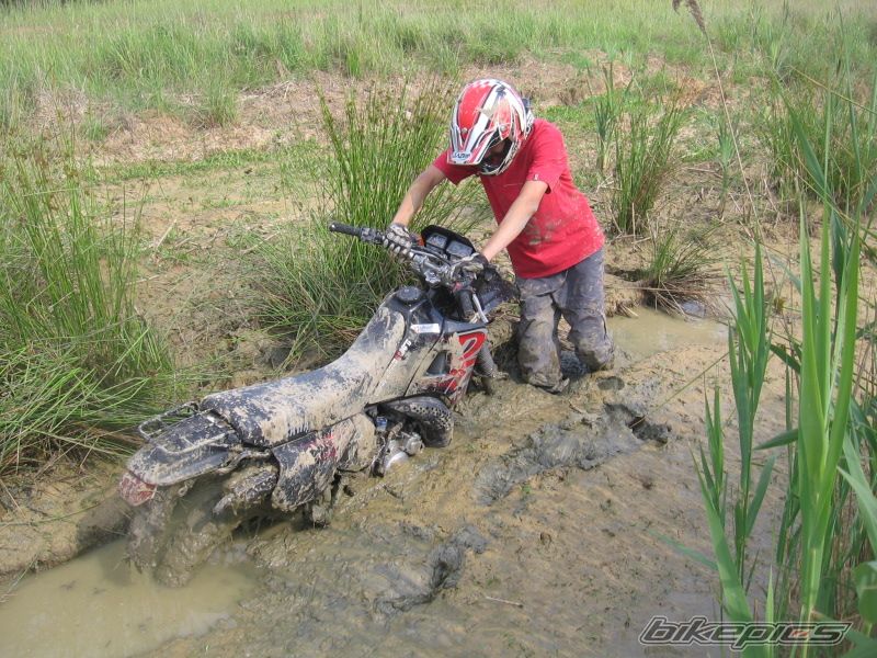 Bike Photo 1324535