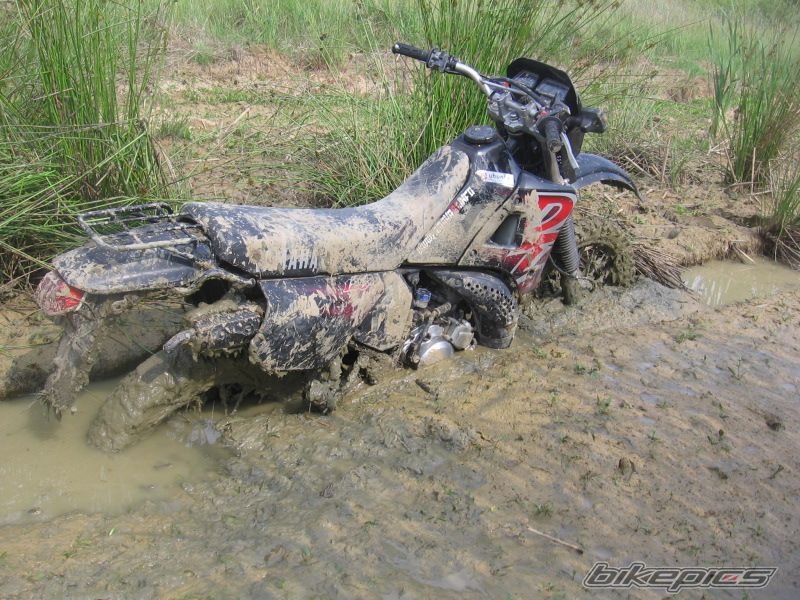 Bike Photo 1324536