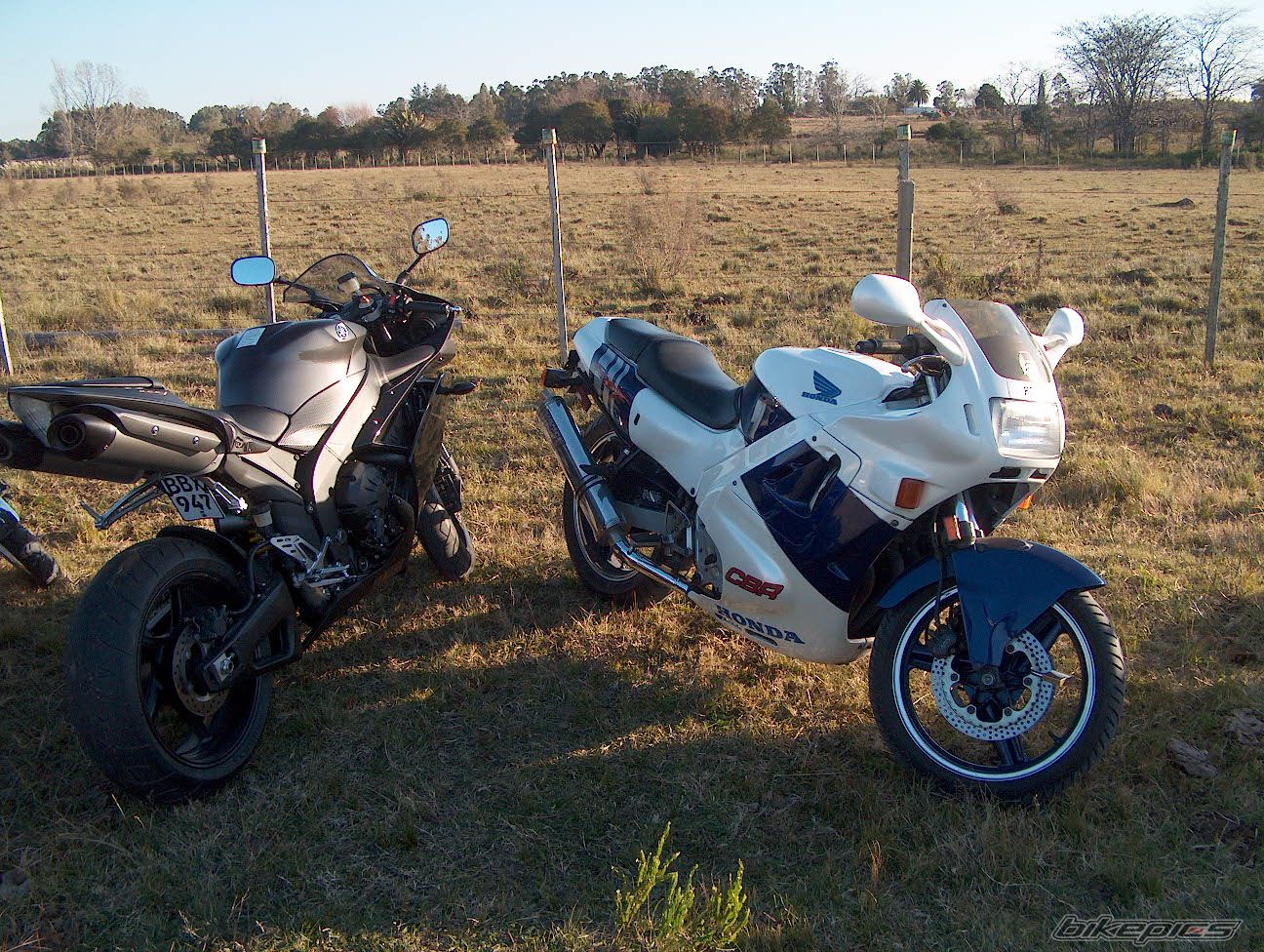 Photo 1324576