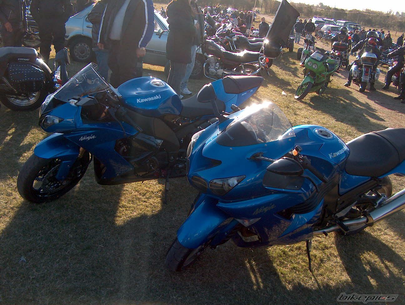 Photo 1324579