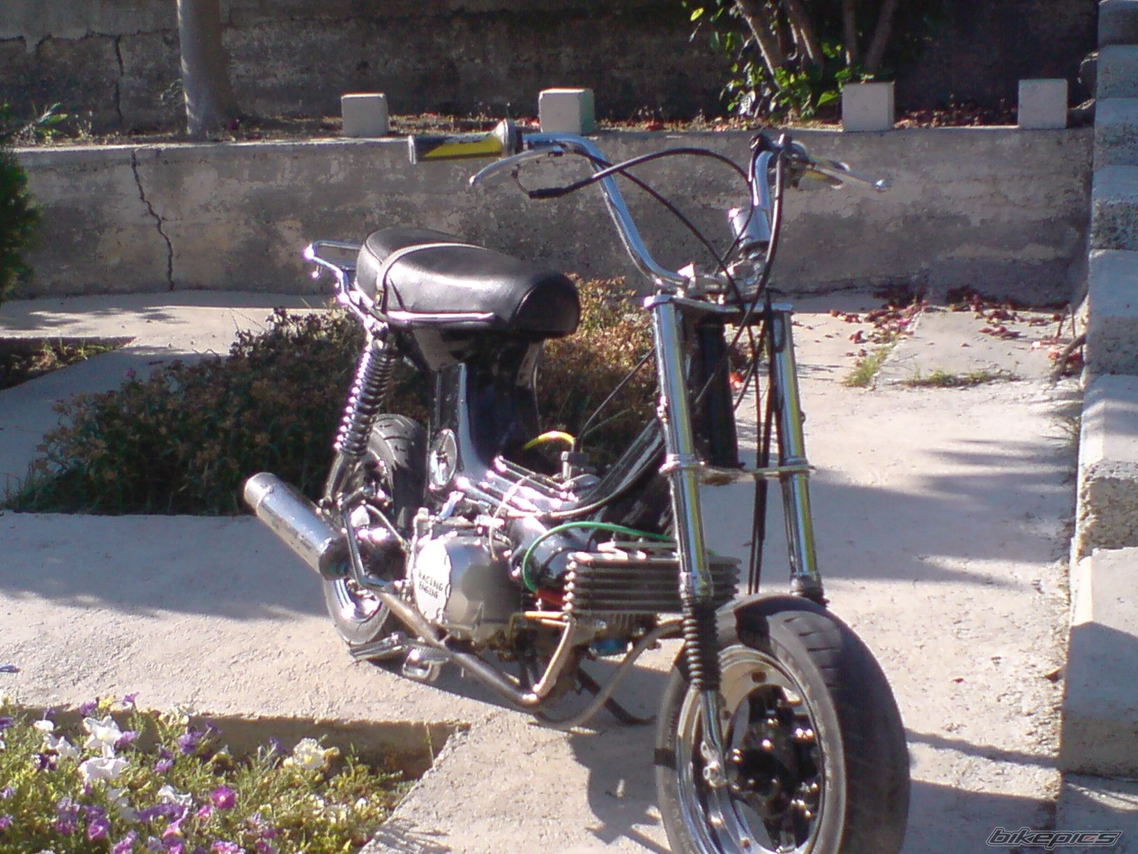 Photo 1324594