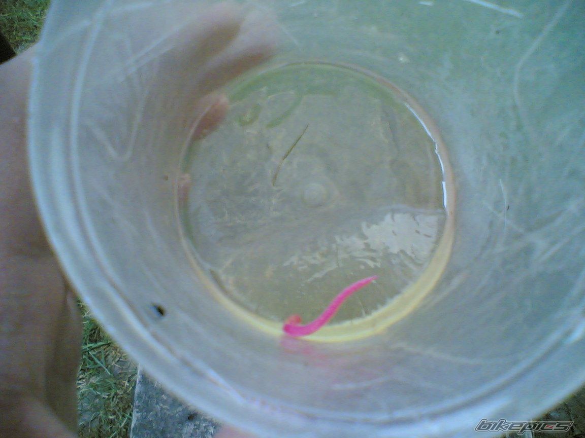 Photo 1324620