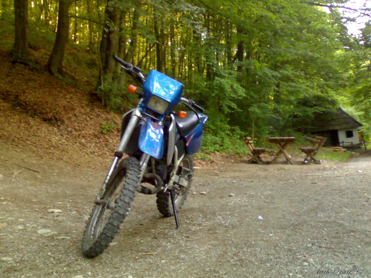 Bike Photo 1324758