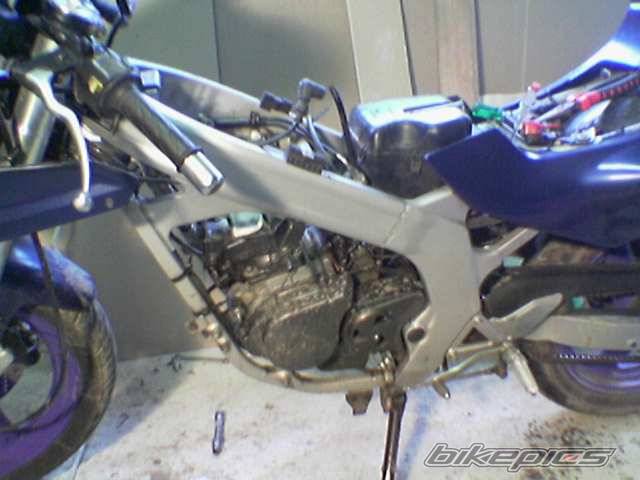 Photo 132485