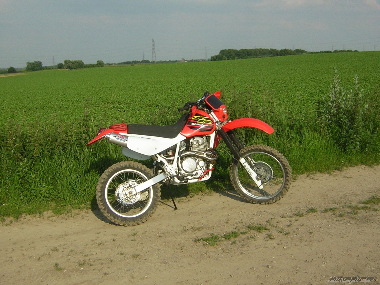 Bike Photo 1324868
