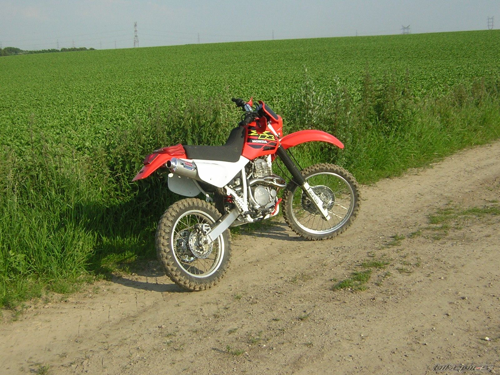 Photo 1324871