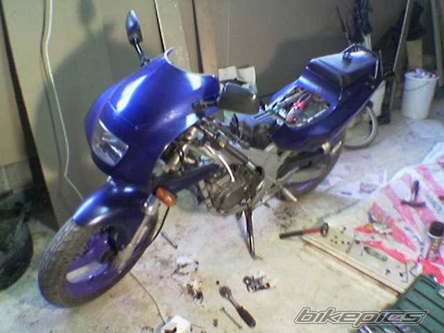 Photo 132488
