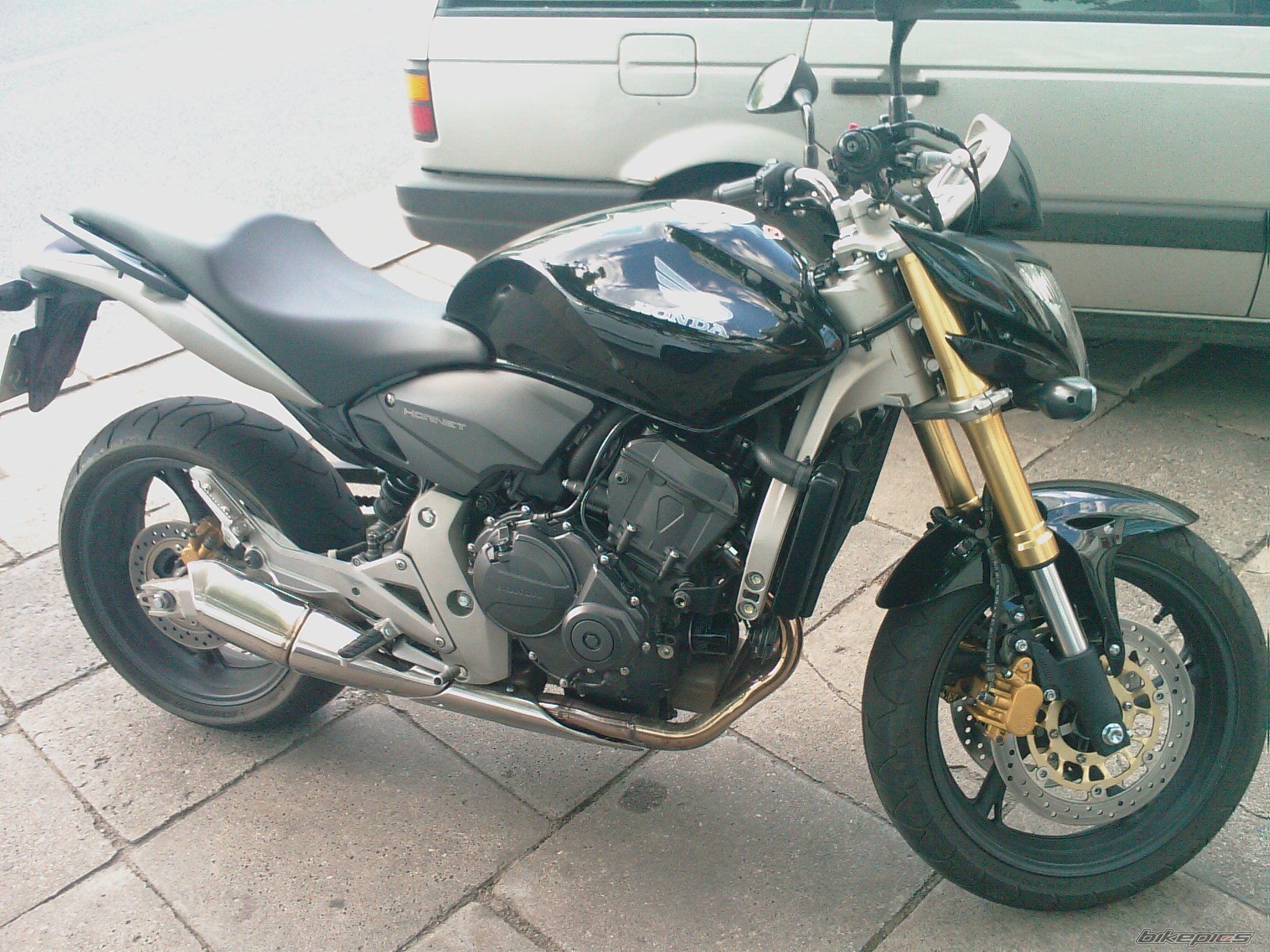 Photo 1324935