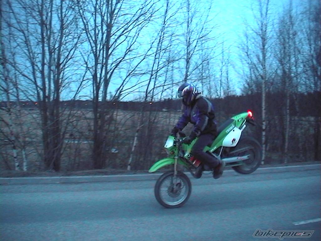 Photo 132511