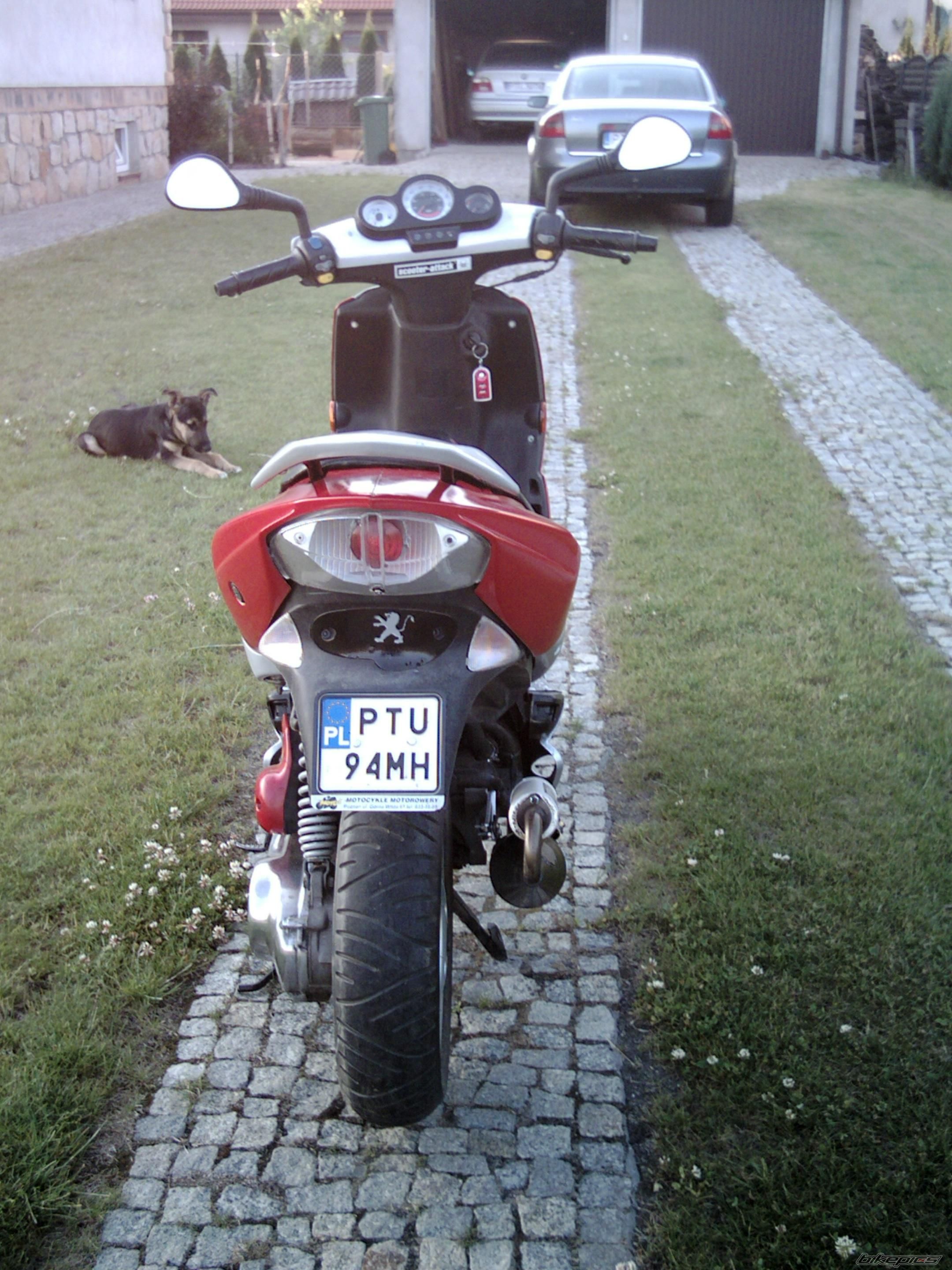 Photo 1325312
