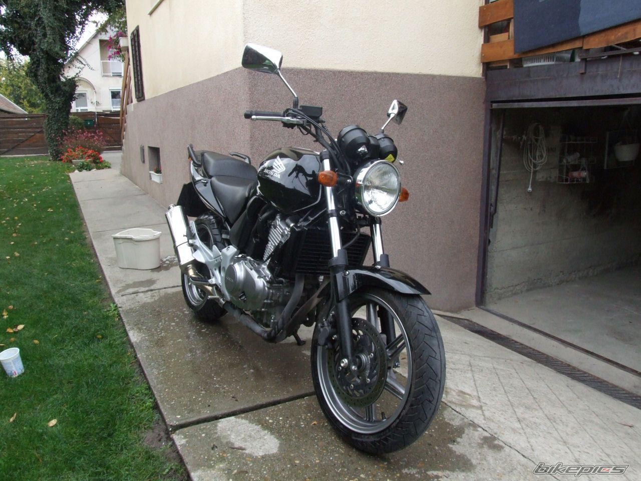 Photo 1325333