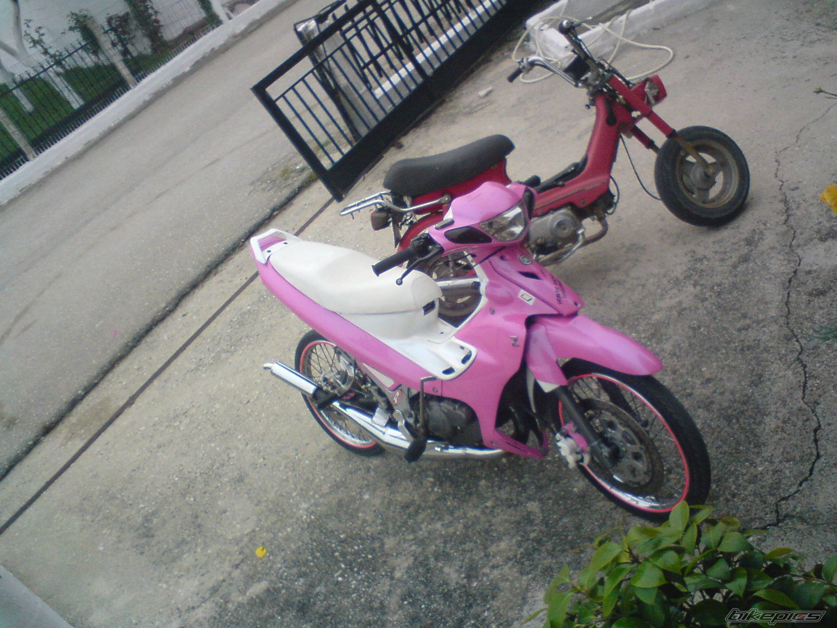 Photo 1325372
