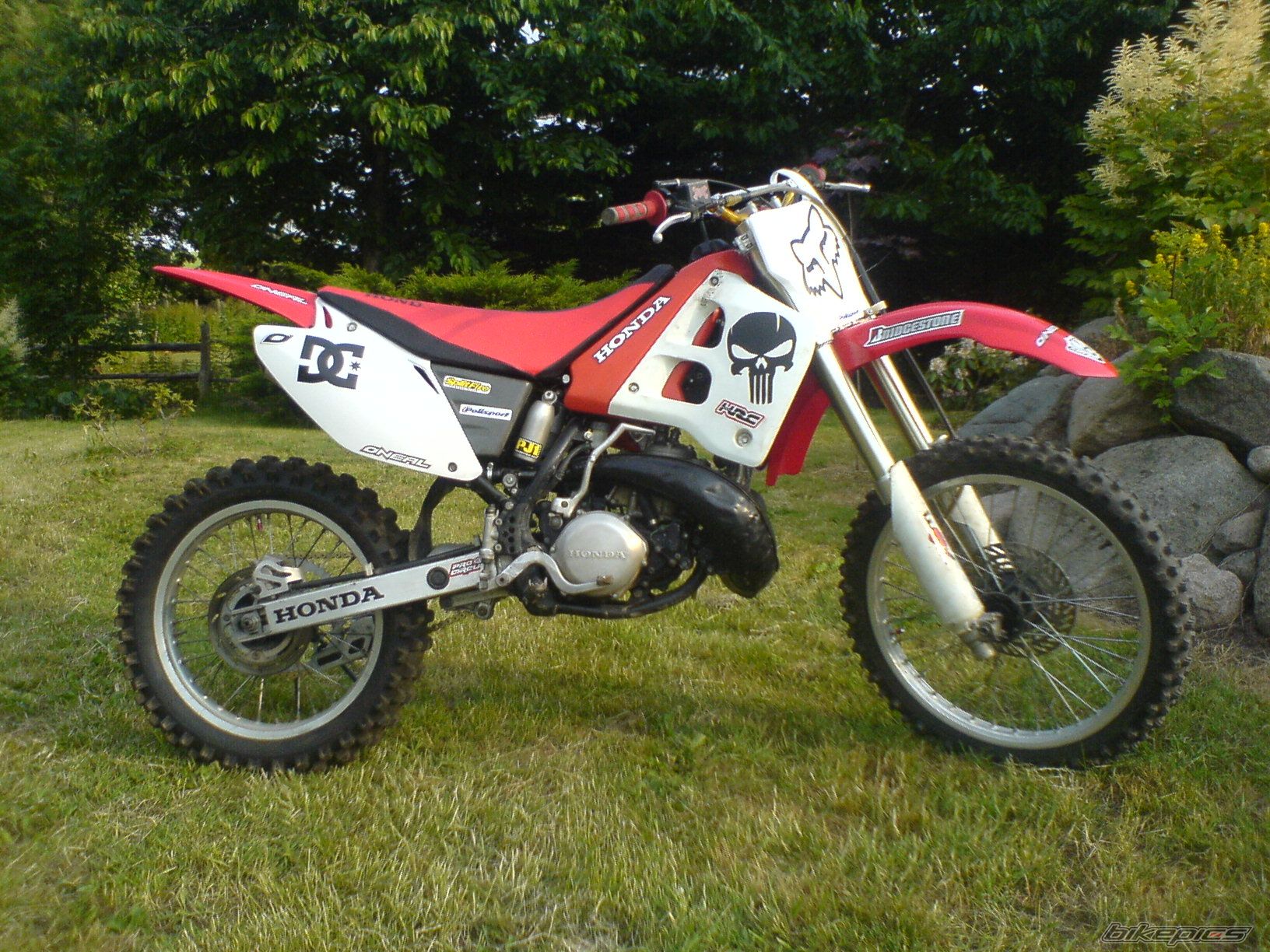 Photo 1325373