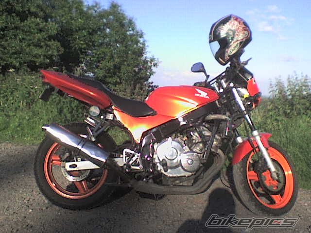 Photo 1325481