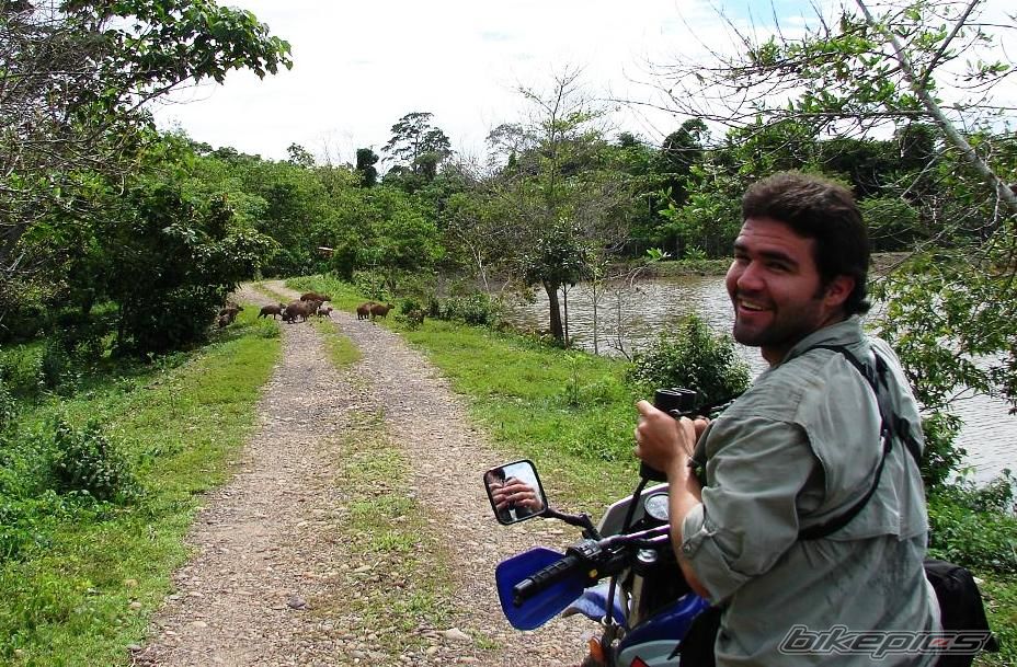 Bike Photo 1325580