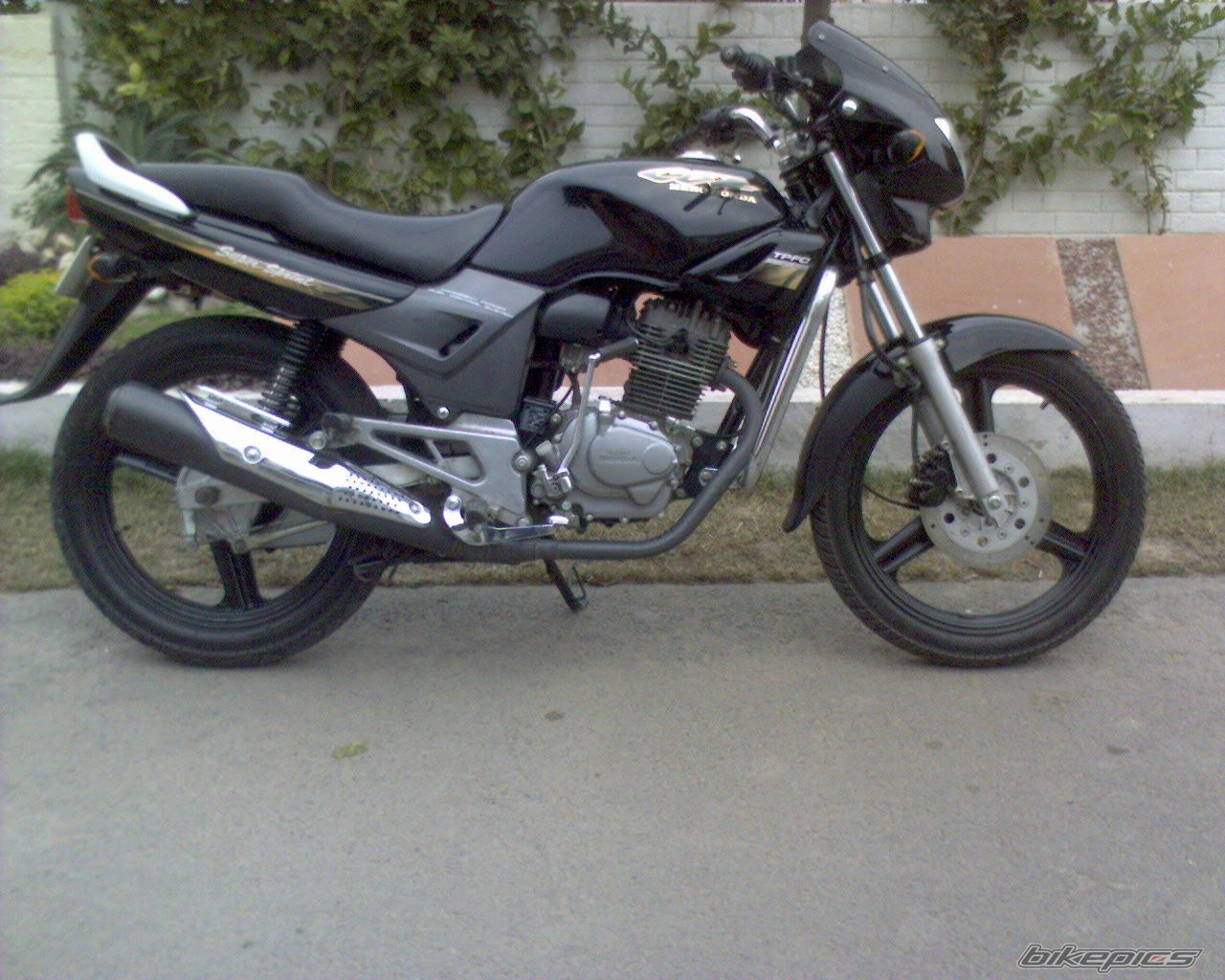 Photo 1325590