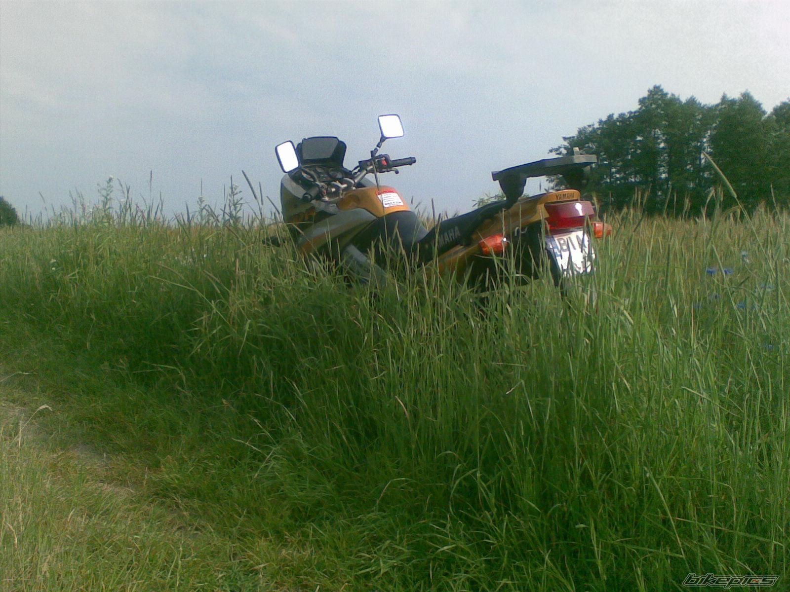 Bike Photo 1325620