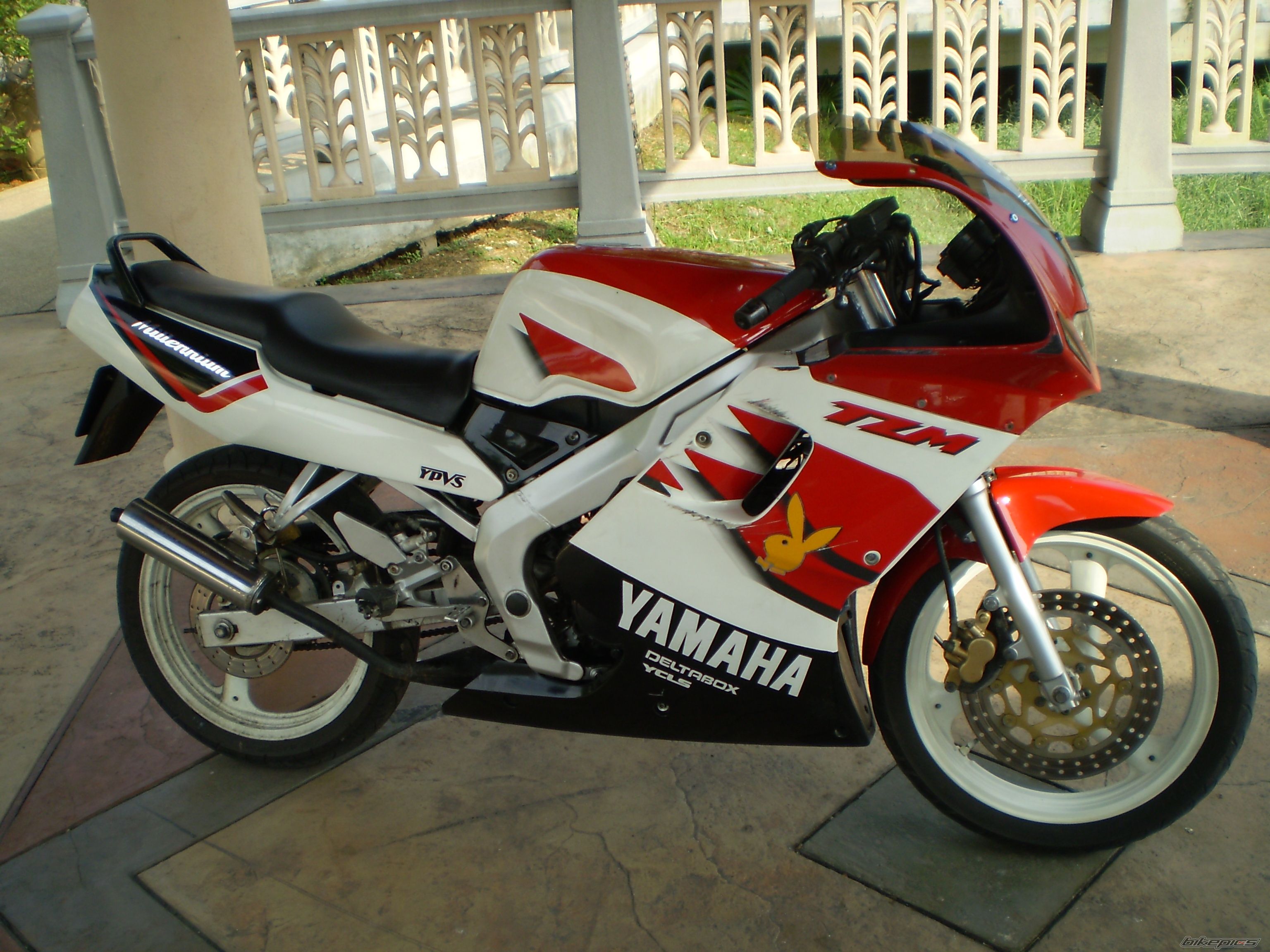 Bike Photo 1325680