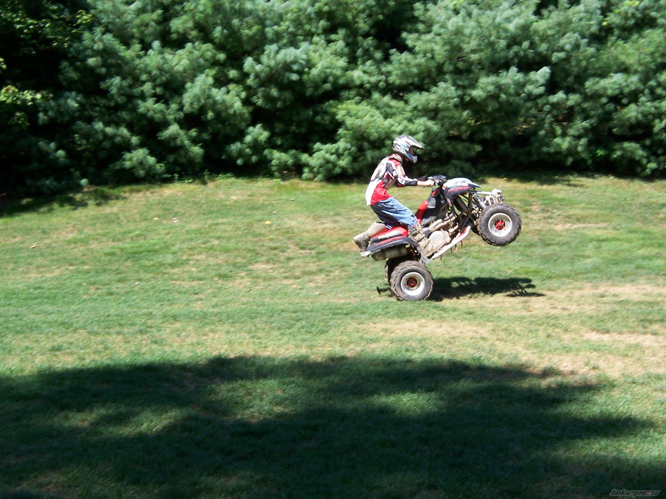 Photo 1325723