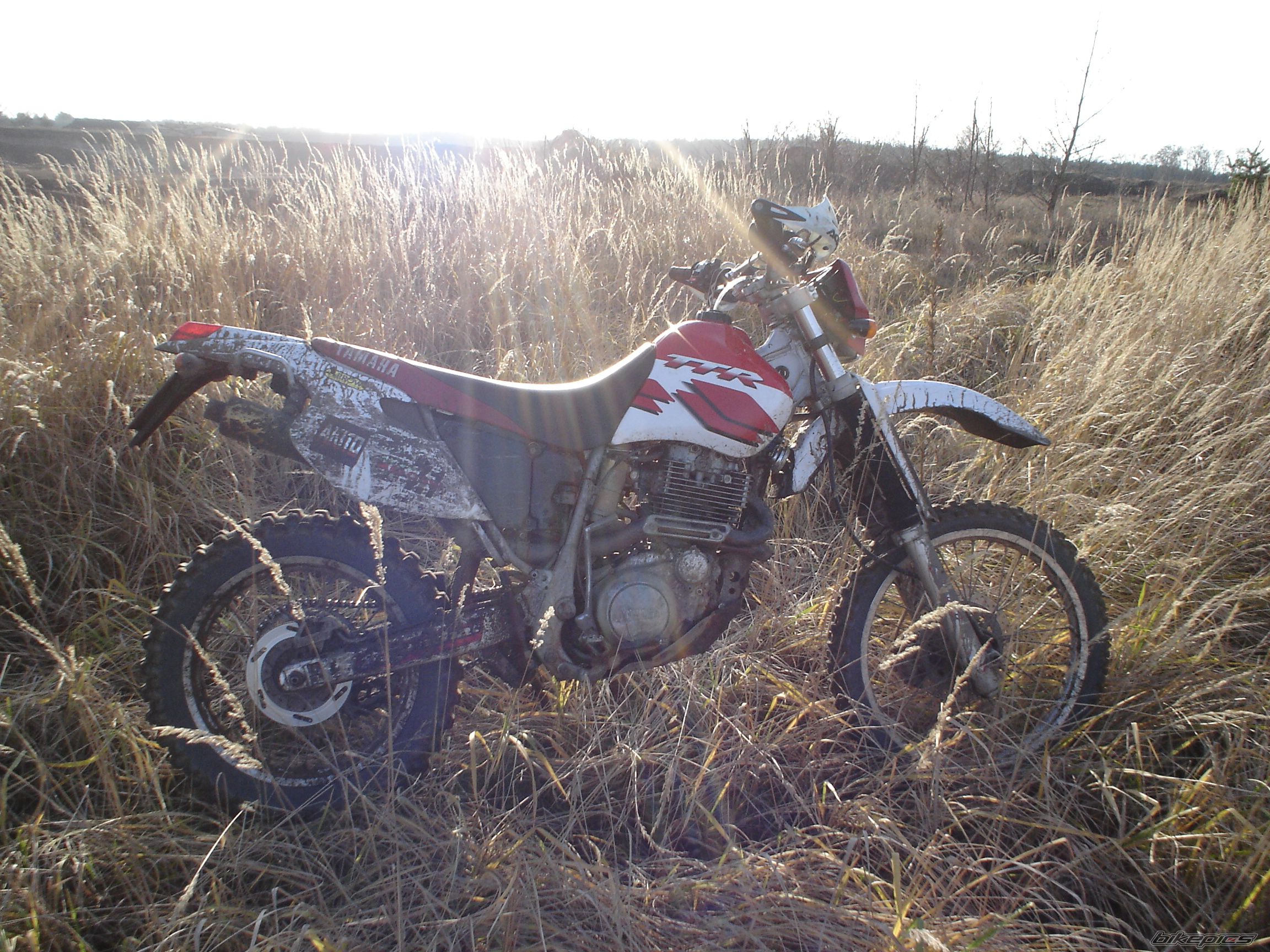 Photo 1325733