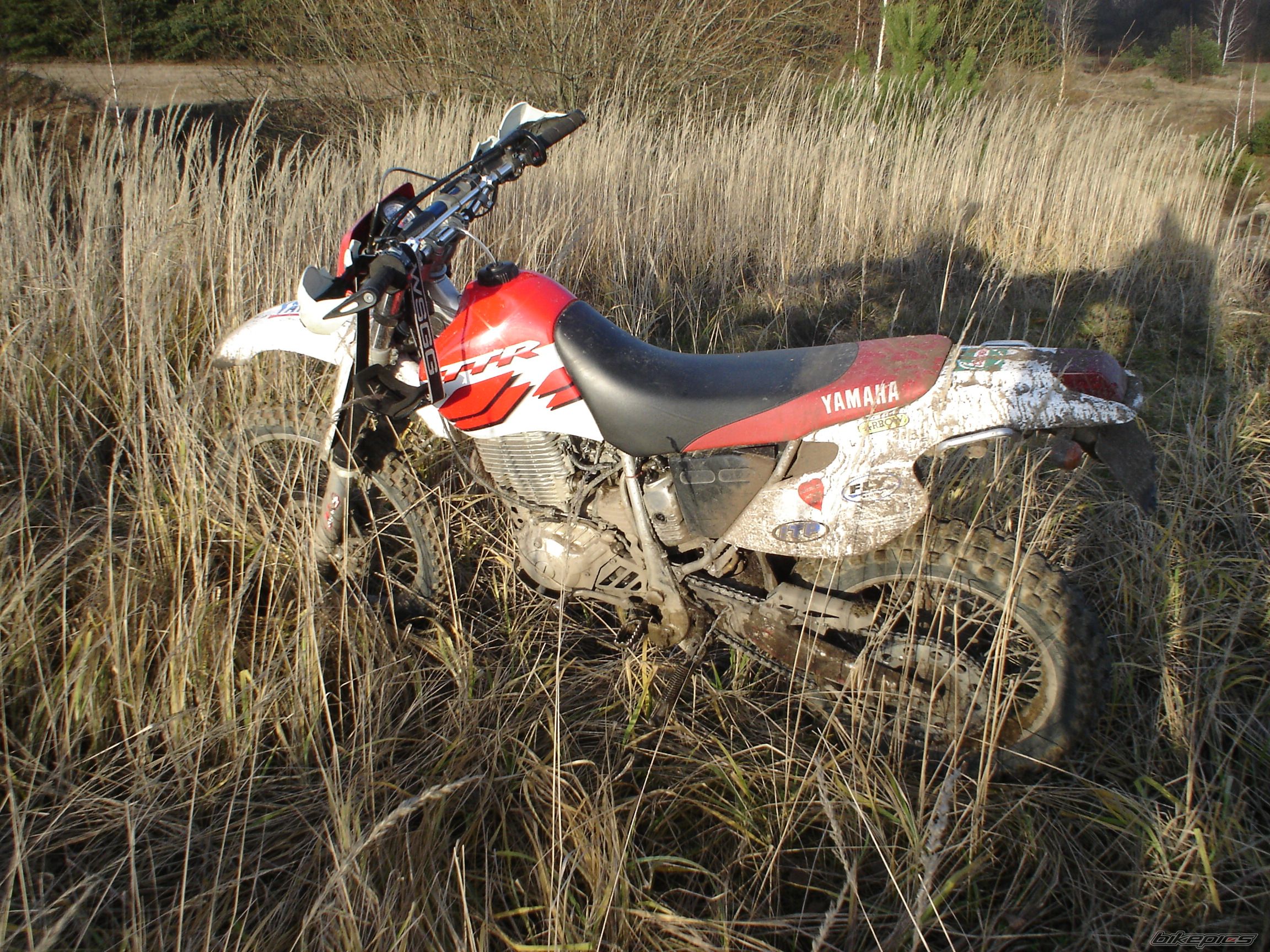 Photo 1325746