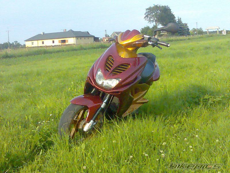 Photo 1325780