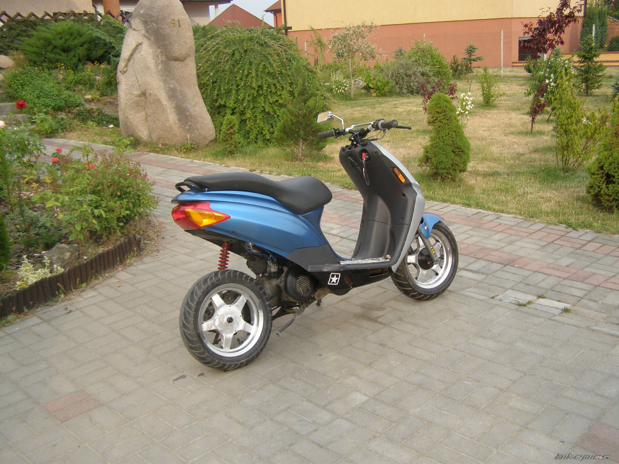 Photo 1325789