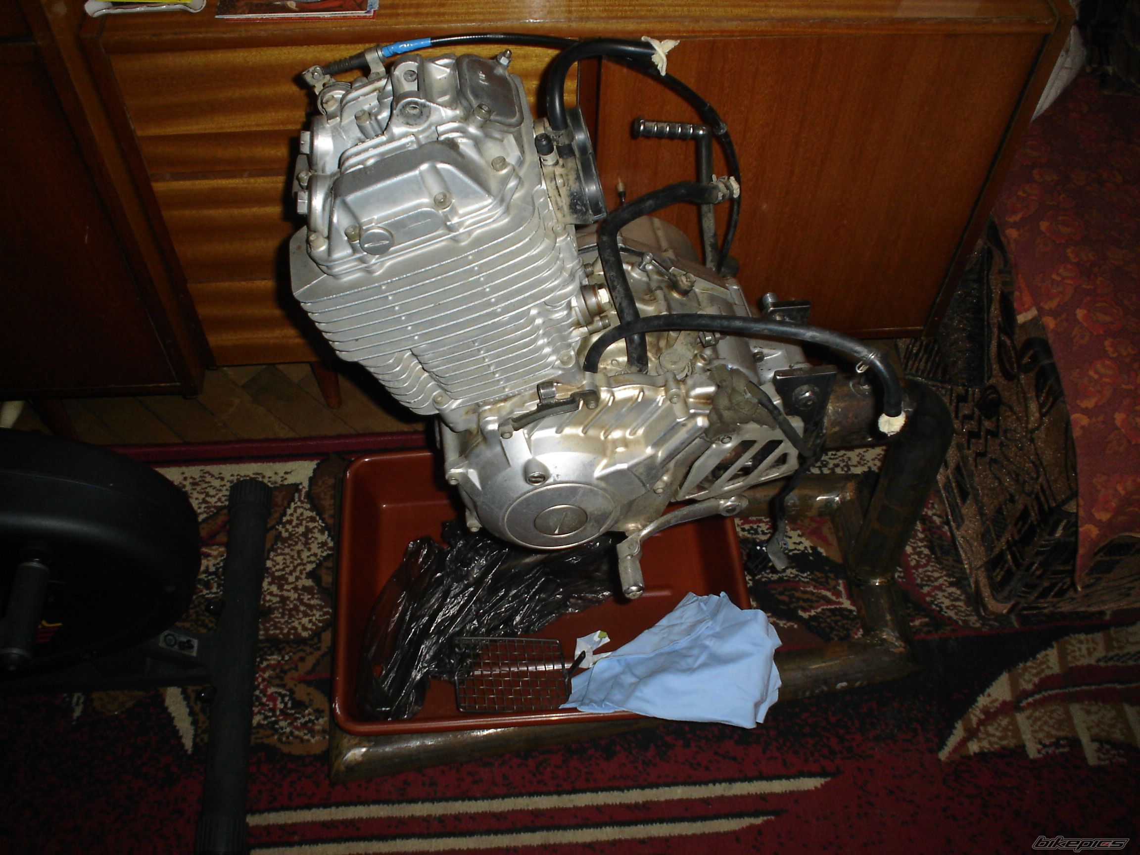 Photo 1325822
