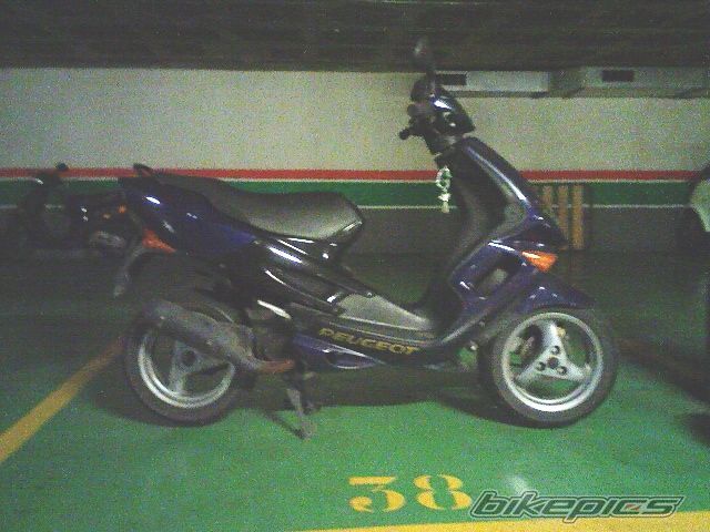 Photo 1325923
