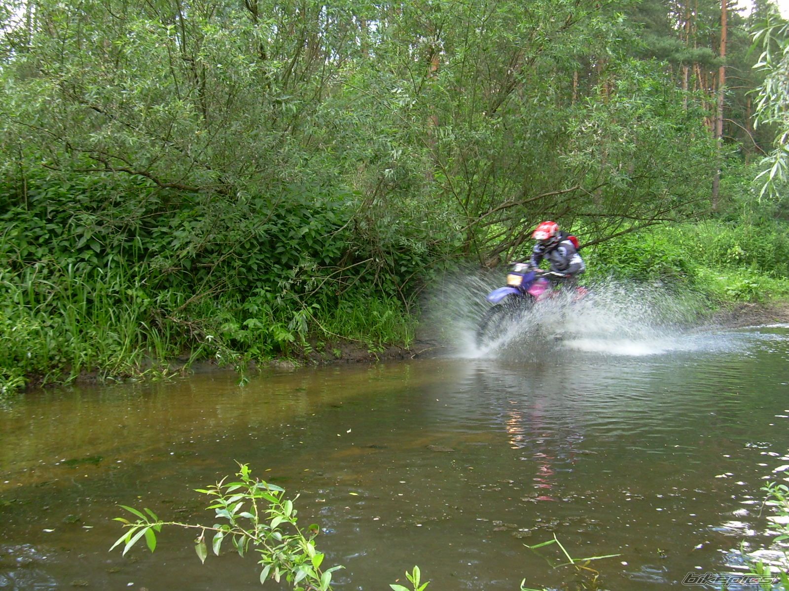 Bike Photo 1325982