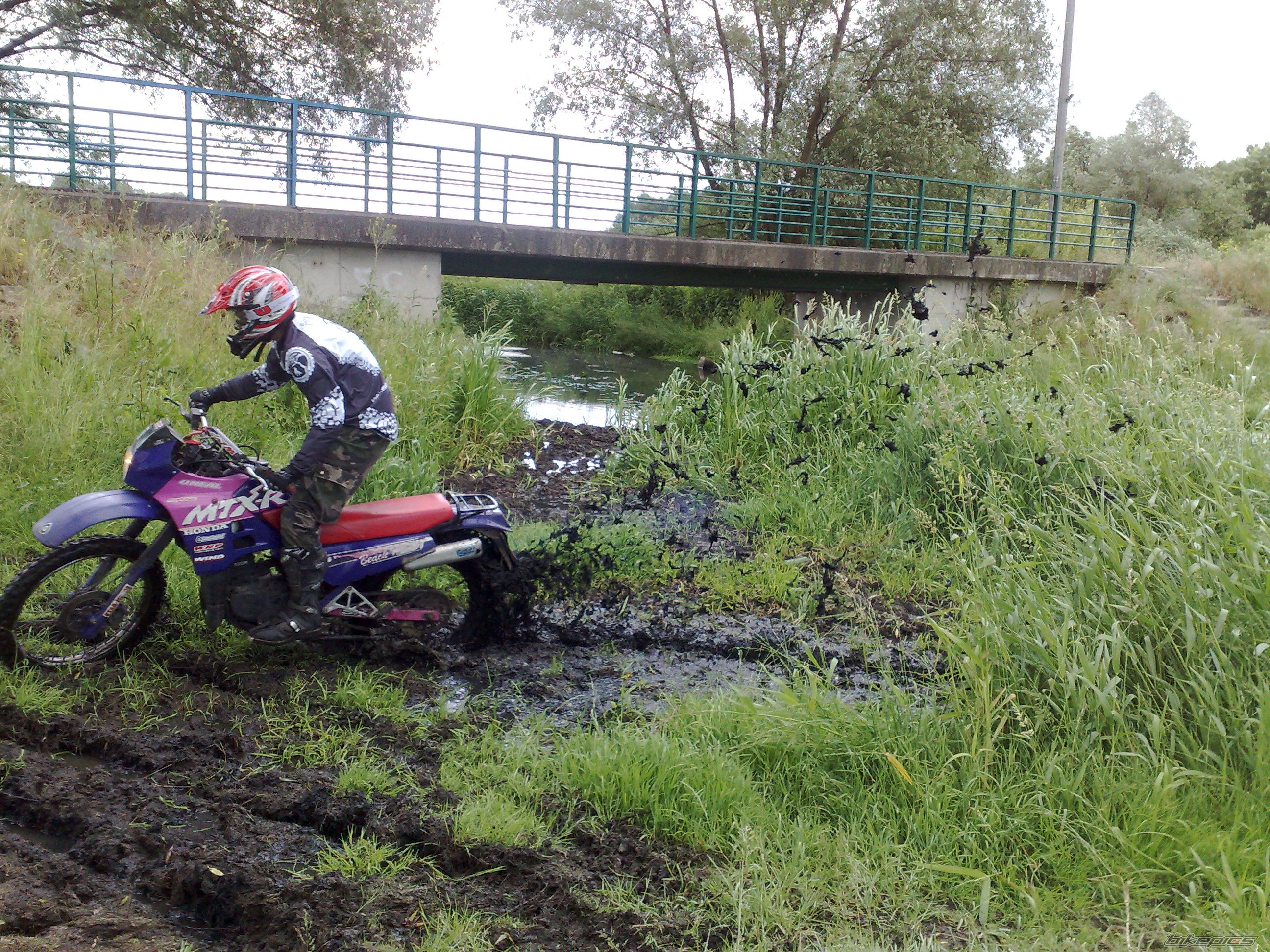 Photo 1325991
