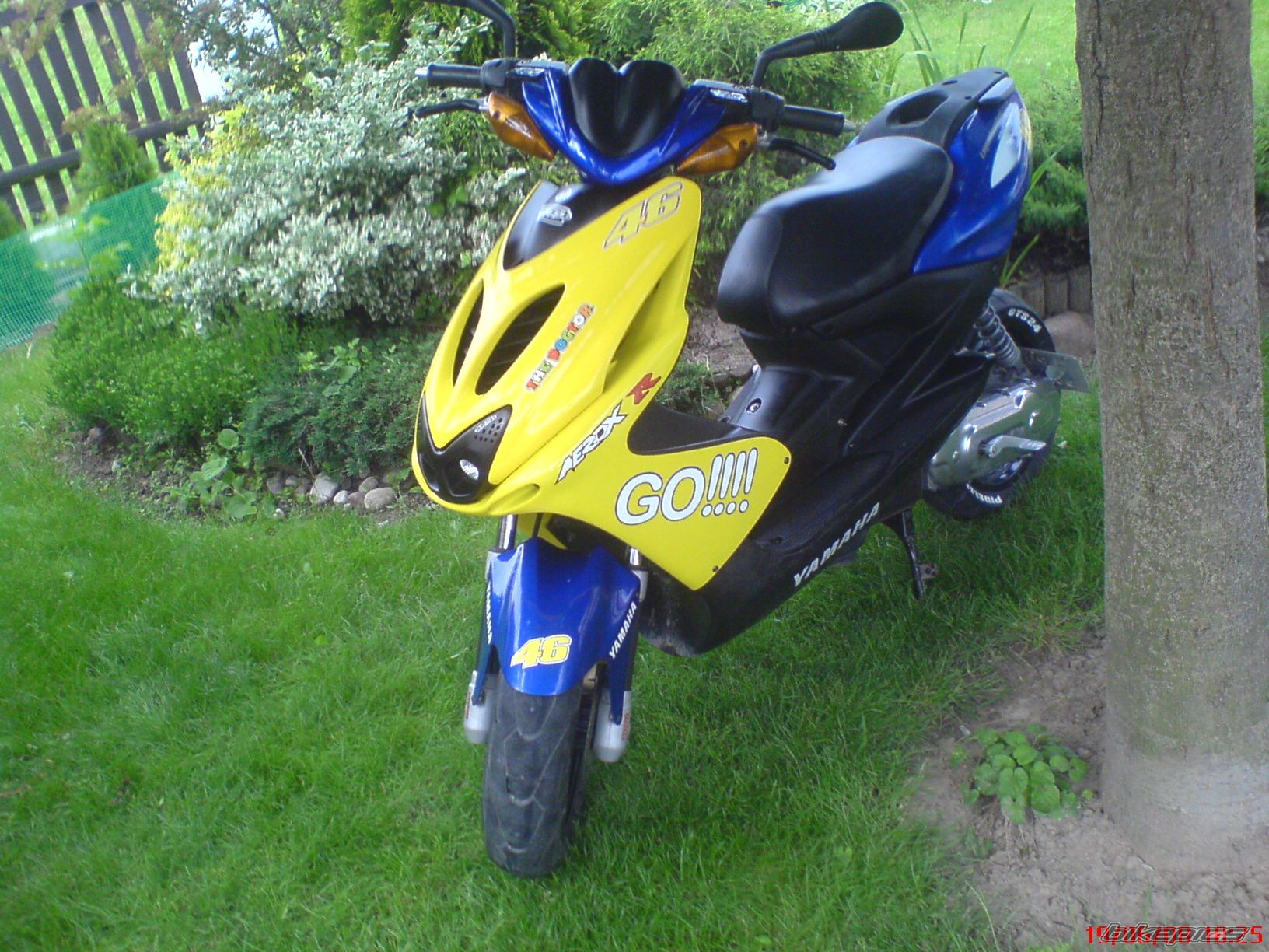 Photo 1326020