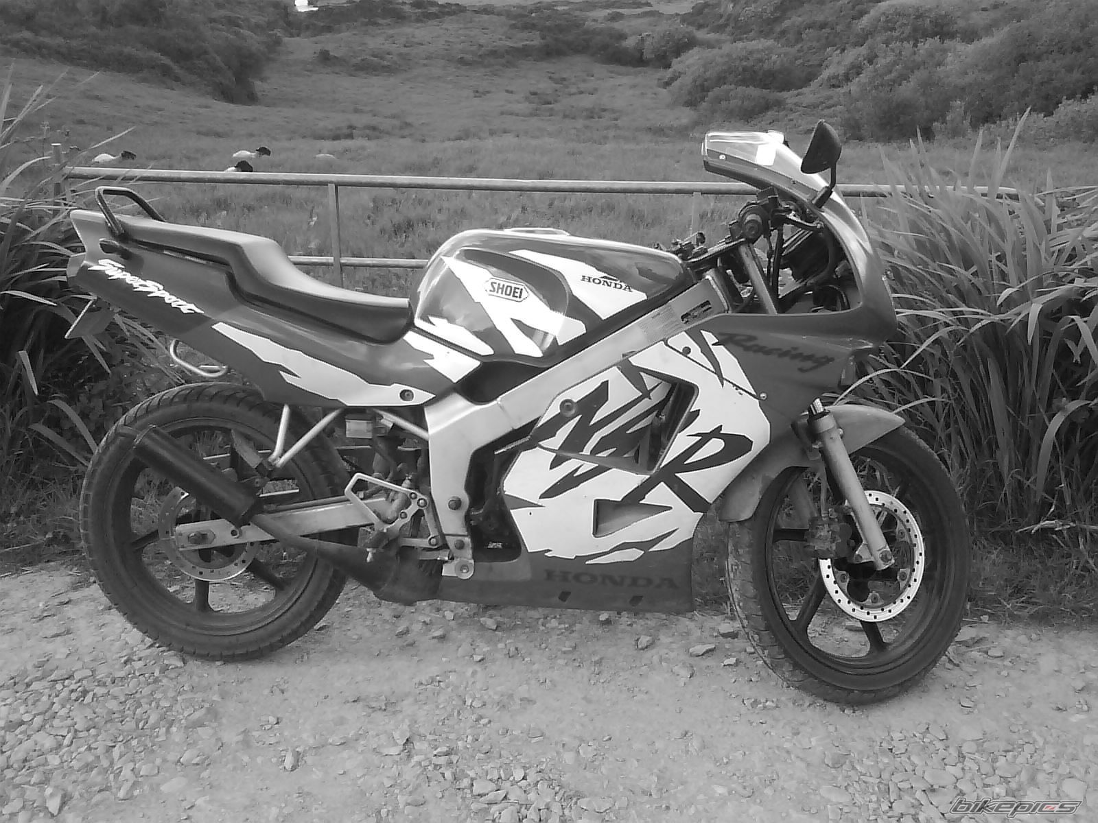 Bike Photo 1326283