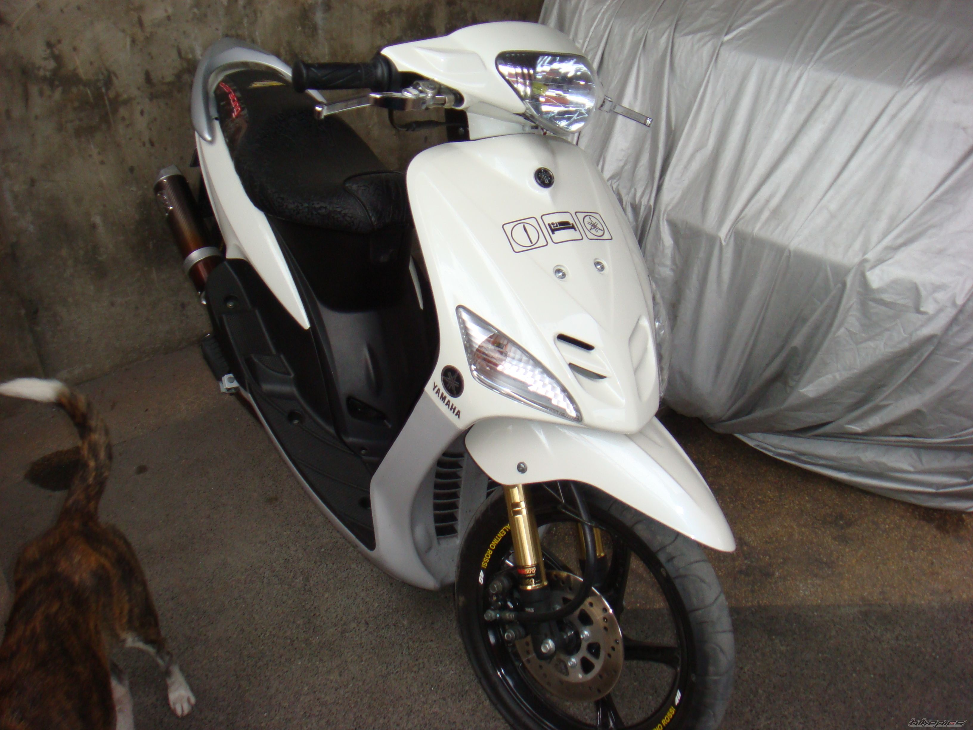 Bike Photo 1326380